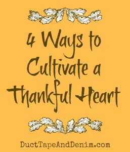 4 ways to cultivate a thankful heart. Part of the 30 Days of Thanksgiving series on DuctTapeAndDenim.com #30DoT