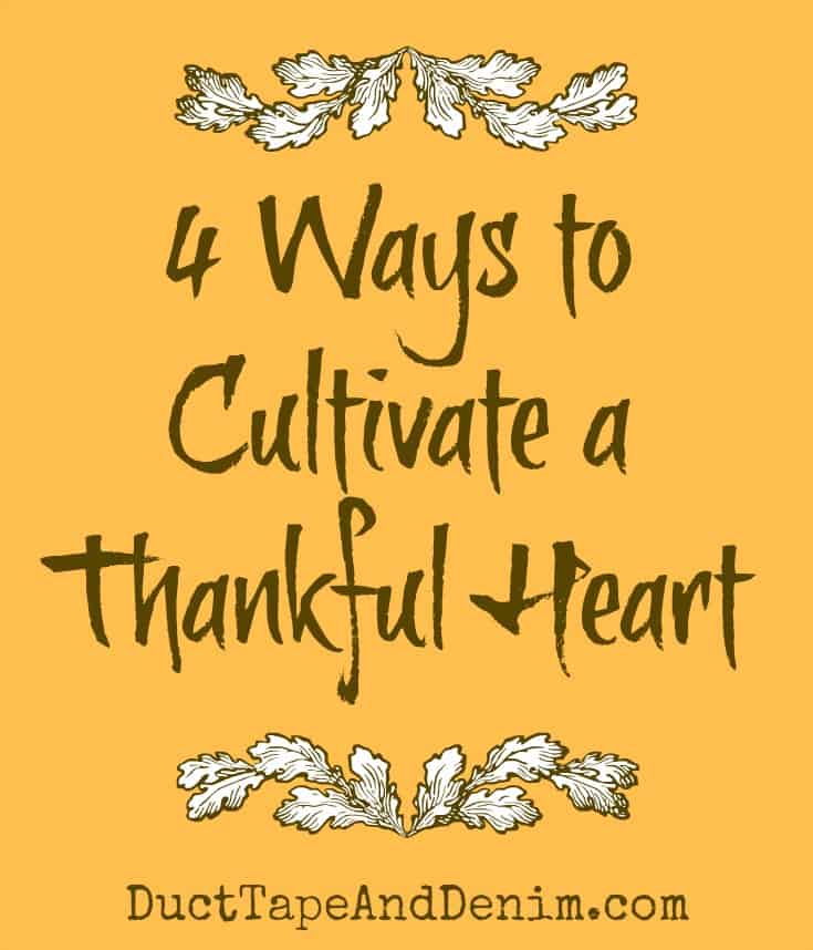 4 Simple Ways to Cultivate a Thankful Heart