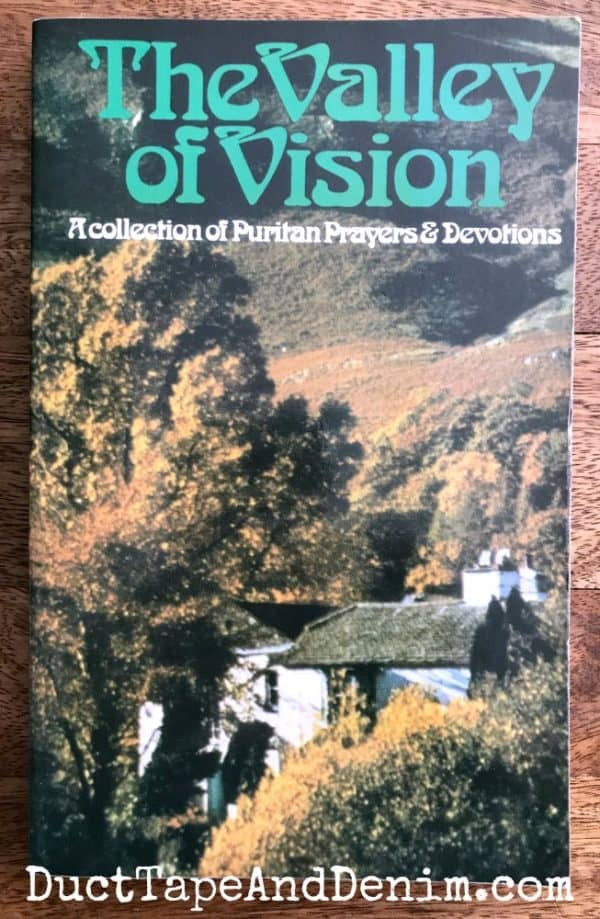 Valley of Vision book