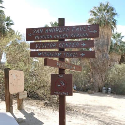 Coachella Valley Preserve, Thousand Palm Oasis in the Desert