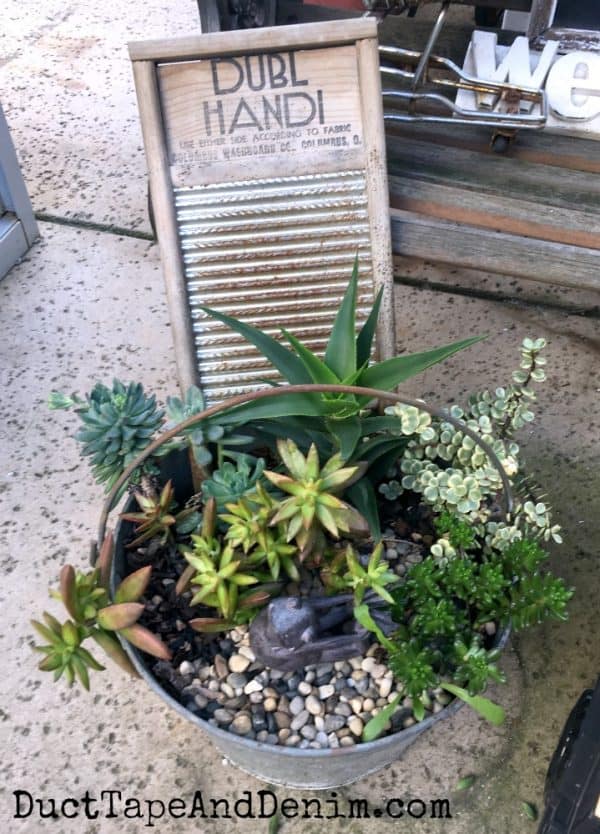 Succulents in a wash bucket | DuctTapeAndDenim.com