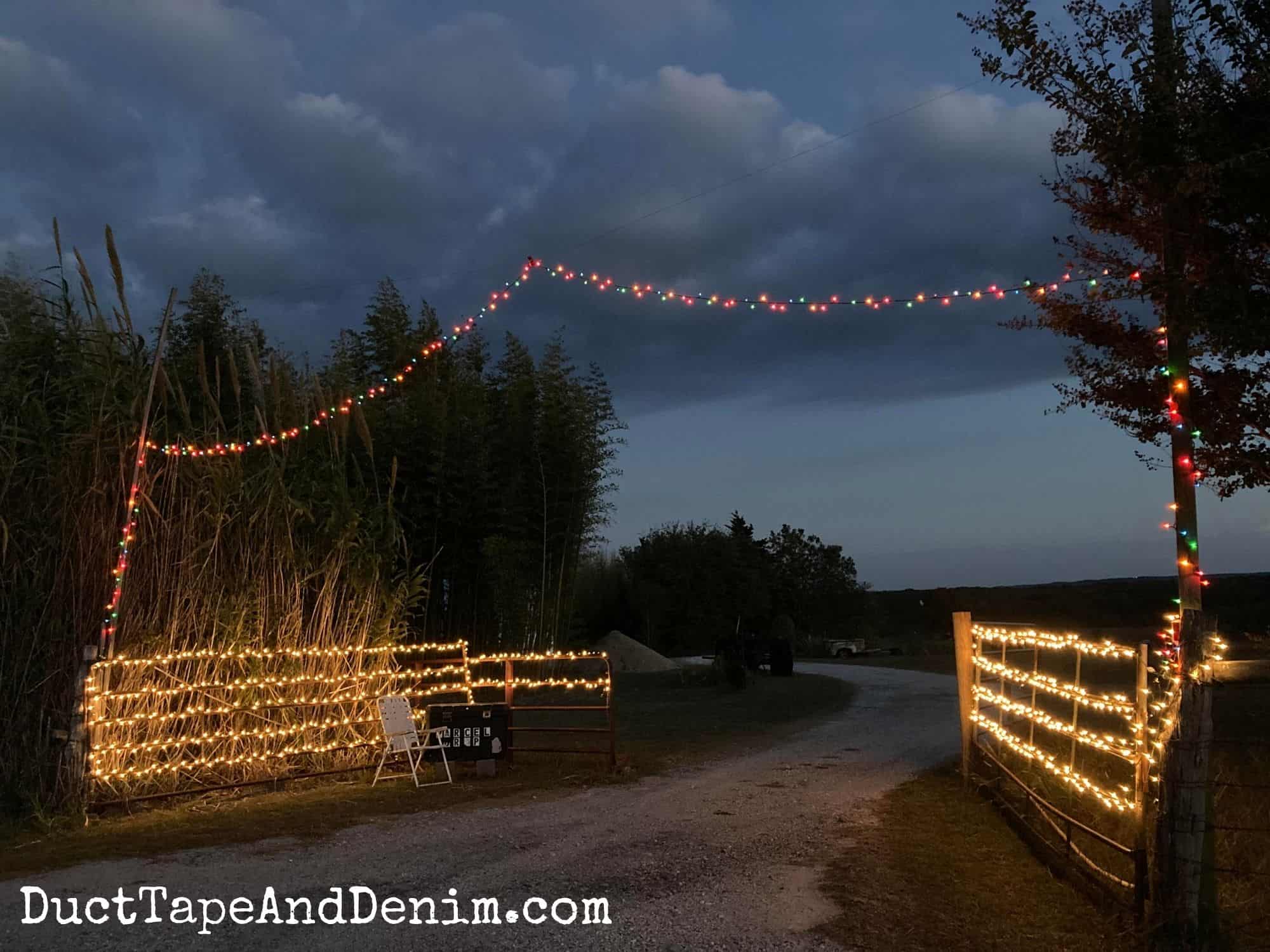 15 Unique Outdoor Christmas Light Ideas for Your House & Gates